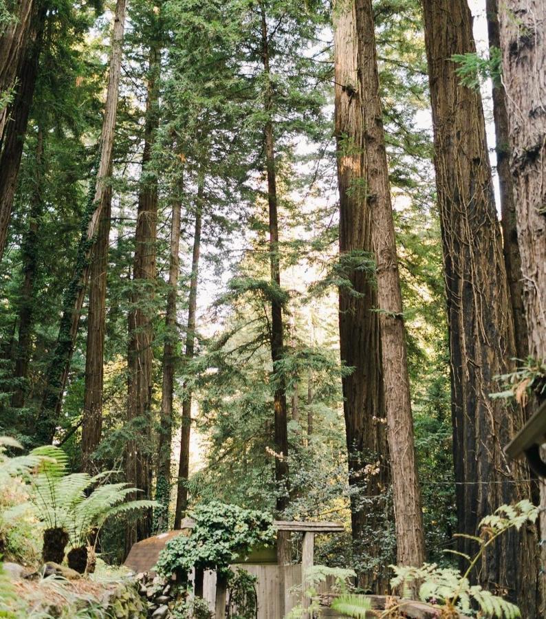 Villa Sur Grove Big Sur Exterior foto